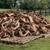 Fwood.... premium Firewood in farm kingsville 5 thumbnail
