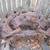 Corvair Parts For Sale 10 thumbnail
