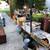 Hugh Sale Muti Family (Backyard Sale) 21 thumbnail