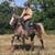 FOR ADOPTION - Heartland Equine Rescue -11yr Rocky Cross Pony 1 thumbnail