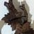 Vintage Regula 34 Black Forest Cuckoo Clock – Hand-Carved Birds & Nest 6 thumbnail