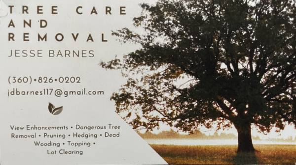 Tree Care and Removal - Stump Grinding 1