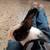 Bunny rabbit conejo noneja domesticada tamed 8 thumbnail