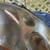 2007-2009 Nisan Sentra driver side headlight.    Left side 2 thumbnail