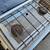 Coleman Propane Stove (Missing Regulator) 6 thumbnail