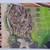 1999-2008 Official U.S. Mint 50 State Quarters BU Collectors Map 2 thumbnail