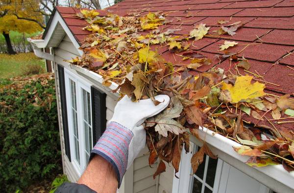 Gutter Cleaning by Clean and Classy!!64217267089795120