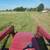 Tractor Work-Tree Work-Mowing 1 thumbnail