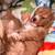 Cockapoo puppies 4 thumbnail