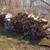 firewood 5 thumbnail