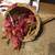 THANKSGIVING DECORATION LOT PLATE HONEYCOMB CENTERPIECE FIGURE SCARECR 17 thumbnail
