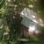 277 NH Baler and JD Hay Wagon 8 thumbnail