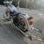 Harley Davidson Springer 5 thumbnail