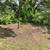 general tree services emergency tree services 13 thumbnail