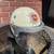 Helmets - Dutch Riot + '70s Motorcycle 1 thumbnail