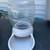 PET CARRIER 26 in Long x 17 in Wide & Gravity Waterer & New Leash Anch 5 thumbnail