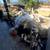 JUNK REMOVAL/TRASH PICKUP/HAULING SERVICE/TRASH HAUL/TRASH MOVING 11 thumbnail