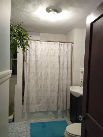 $770 Room for rent near the pond in JP - $770/MONTH (Jamaica Plain)63802097005057123