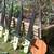 Rustic Hand-Made Witches & Pumpkins (One of Each) Separate Pricing Too 2 thumbnail