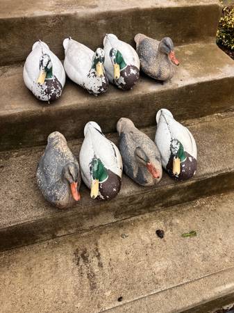 Duck decoys 1