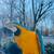Blue and Gold Macaw 3 thumbnail