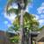 Tree service, Landscaping , Gardening ,Irrigation 2 thumbnail