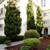 1458 Madison, Sought After,Lakeside, Near Bart + Lake 1 thumbnail