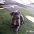 Beautiful American Staffordshire pit bull terrier 1 thumbnail