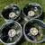 18x7.5 Ford F150 OEM Wheels 6 thumbnail