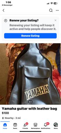 Yamaha guitar leather case & guitar 1