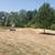 Gravel and stone delivered and tailgate  spread 14 thumbnail