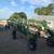 16 wheel Sitrex hay rake 3 thumbnail