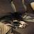 Mixed puppy 1 thumbnail