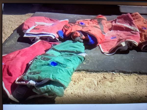 Horse Blankets 1