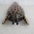 African Hand Carved Wood Giraffe Folk Art Tribal Mask 16" Tall 6 thumbnail