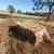 mixed grass hay square Bales 1.00 ea 1 thumbnail