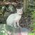 Cat for Rehome 3 thumbnail