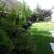 ARNULFO CANO Gardening Services (Best prices in the area) 2 thumbnail