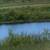 10 ACRES $60,000.00 WILL SELL ON CD 2 thumbnail