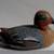 DUCK DECOY COLLECTION OVER 50 8 thumbnail