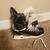 Bauer Supreme 2 thumbnail