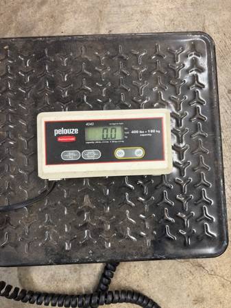 Pelouze Digital Scale 1