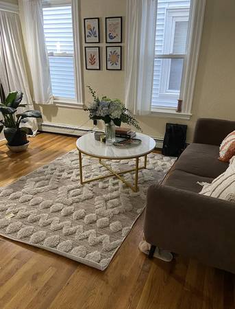 $2,400 / 2br - 950ft2 - Mucho espacio y encanto con estudio/armarios, mascotas permitidas, ¡SIN COMISIÓN! (Cambridge)63828556756483120