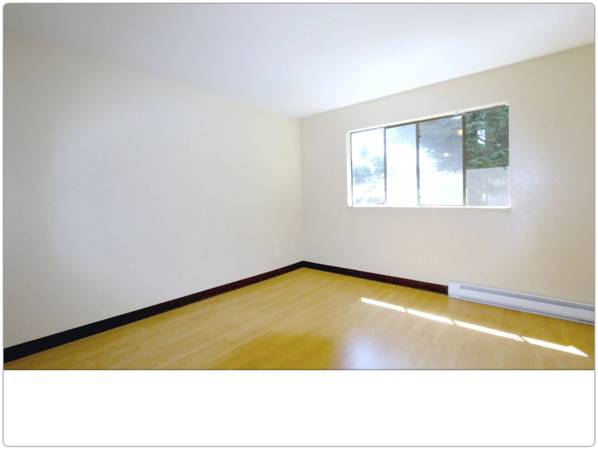 $1,195 / 354ft2 - Su próximo capítulo comienza aquí. Descubra, disfrute y relájese. (Burien)63850642770563122