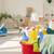 Seeking Independent Housekeeping Cleaning Partners 3 thumbnail