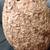 Bald Faced Hornet nest 1 thumbnail