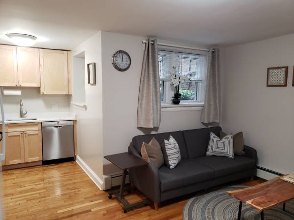 $3,200 / 1br - 500ft2 - Furnished 1 bed in Washington Square - convenient to the LMA - NOW (Brookline)64213533778817121
