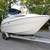 2010 Bayliner 245SB Cruiser V8 MerCruiser 394Hrs Clean Boat w/ Trailer 10 thumbnail