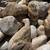 Hardscaping & Landscaping, Benches, Stones, Rocks,ON SALE 13 thumbnail