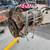 Chevy 350 39700100 core rebuilder 1 thumbnail